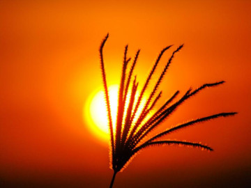 pôr do sol em arraial do cabo