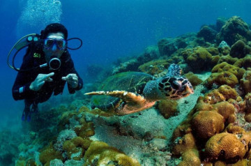 Turista mergulho entre peixes em Arraial do Cabo