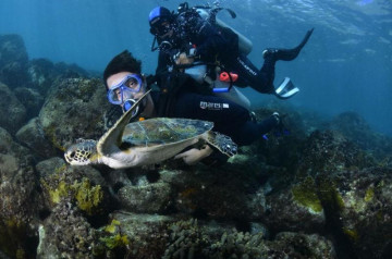 Turista mergulho entre peixes em Arraial do Cabo