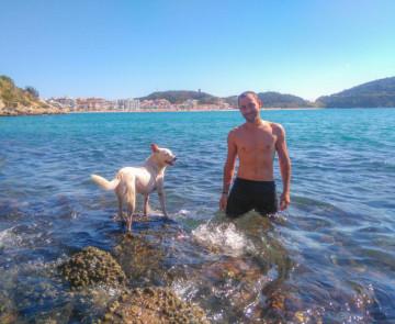 Turista colocar no mar com seu cachorro em arraial out