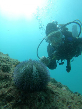 Batismo de Mergulho em Arraial do Cabo. ARRAIALFERIAS