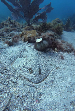 Batismo de Mergulho em Arraial do Cabo. ARRAIALFERIAS