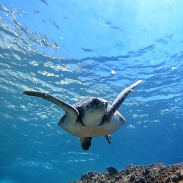 Batismo de Mergulho em Arraial do Cabo. ARRAIALFERIAS