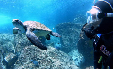 Batismo de Mergulho em Arraial do Cabo. ARRAIALFERIAS