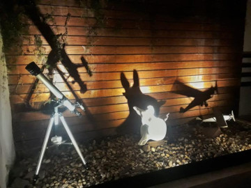 Hospedagem Suíte Lua de Mel